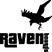 Raven Board